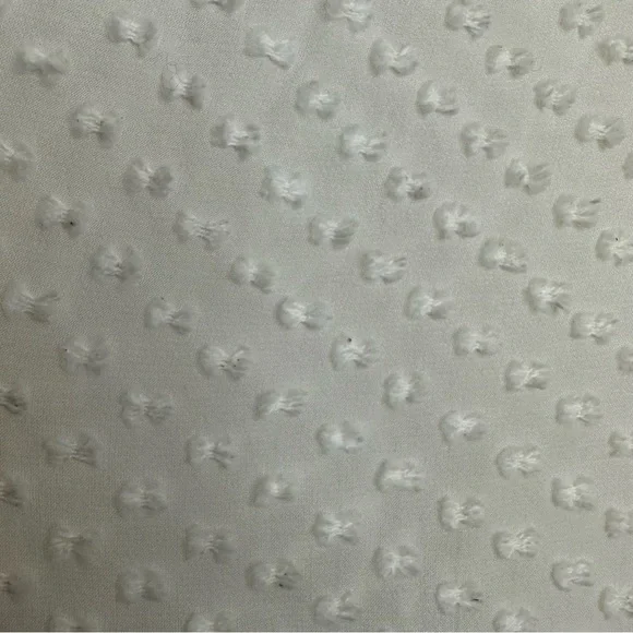 Beyond Vintage Swiss Dot V-Neck Long Sleeve Sheer Silk Top in White - Small - Picture 12 of 16